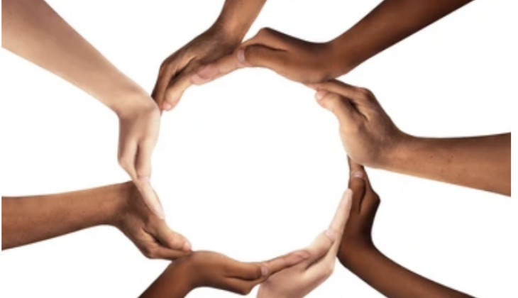 Quand l'homéostasie prend des couleurs